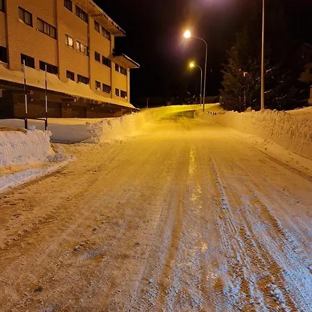 Amanecer Camp D Aljub